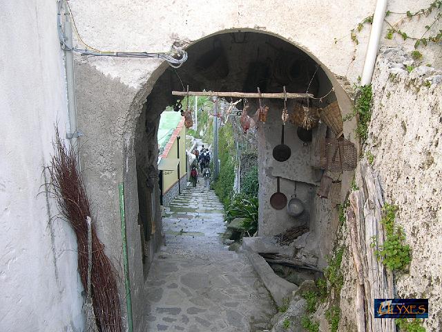 dal borgo di pontone.JPG